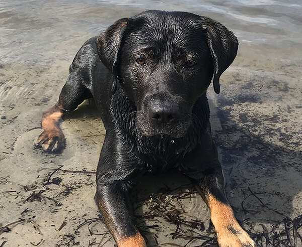Luke